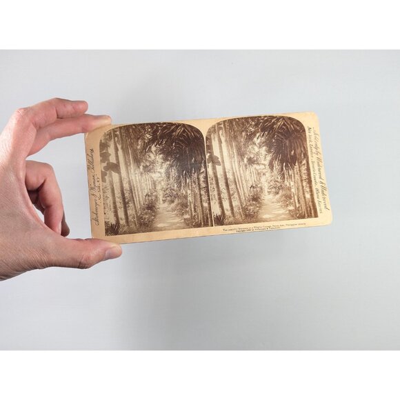 Antique Stereoview card of "the beautiful entrance to a Filipino cottage in - Picture 2 of 8